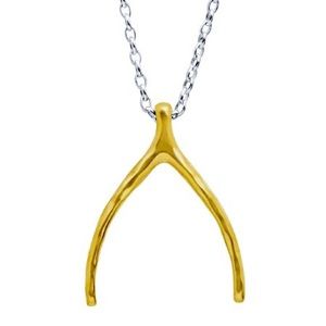 SILPADA "Wishbone" Brass Pendant and Sterling Silver Necklace